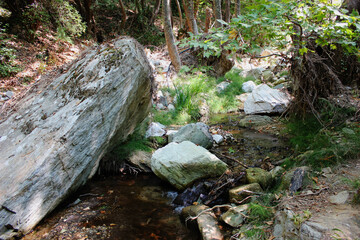 The path of the centaurs (after Cyclone Daniel) Portaria Pelion Greece