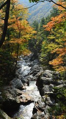 Obraz premium Autumn hues blanket a tranquil river winding through a rocky forest landscape