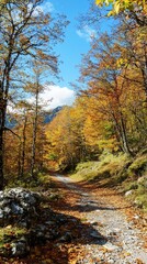 Fototapeta premium A tranquil autumn trail adorned with colorful leaves in a serene mountain landscape