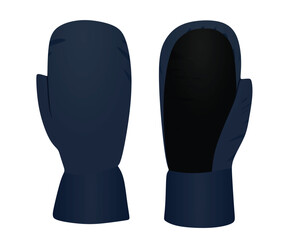 Blue winter gloves. vector illustration