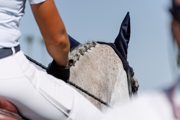 Hand and glove of the rider and a grey braided horse in a showjumping competition
