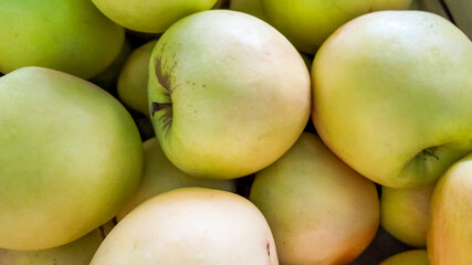 Close-up of fresh green apples, perfect for concepts of healthy eating and harvest season celebrations like Thanksgiving