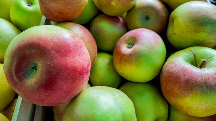 A pile of freshly picked green and red apples, ideal for autumn harvest festivals and promoting healthy eating concepts