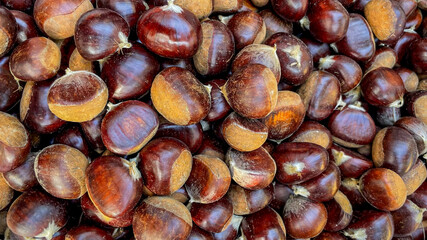 A pile of fresh chestnuts, ideal for autumn cooking and Thanksgiving celebrations, symbolizing harvest abundance and seasonal flavors