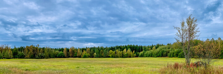 Panoramic view of a serene meadow bordered by a lush forest under a cloudy sky, ideal for Earth Day themes