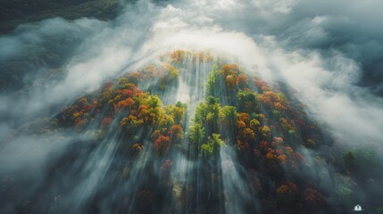 Vibrant autumn forest landscape bathed in warm morning sunlight and natural beauty