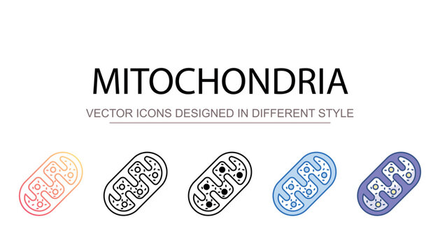 Mitochondria icon design with white background stock illustration