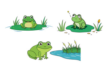 frog on a leaf Vector Illustration