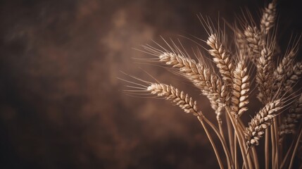 Minimal chocolate brown background with a subtle wheat motif. .
