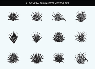 Aloe Vera Silhouette in Black - Editable Vector Design on Transparent Background