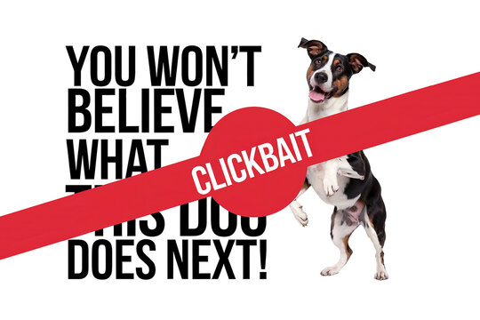 clickbait warning you won't believe what this dog does next