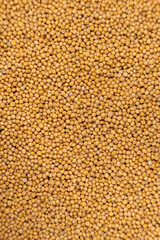 Yellow Dry Mustard Seed Background, Natural Organic Seasoning, Top View.