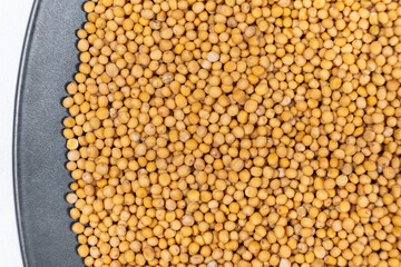 Mustard seeds in a plate, natural organic seasoning, top view.