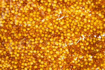 French Dijon mustard background, close-up, top view.
