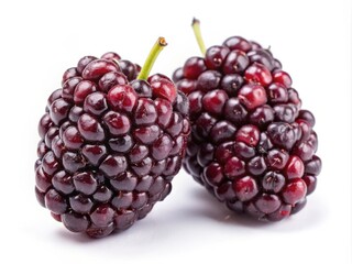Fresh Mulberries on Solid White Background
