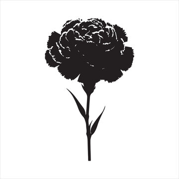 recommend clip art: Carnation Flower silhouette on white background
                    