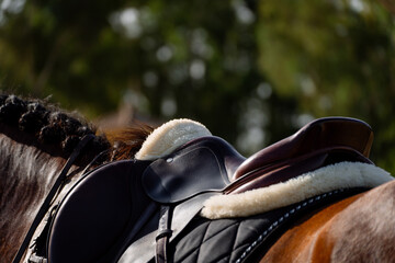 Detail of a showjumping horse saddle