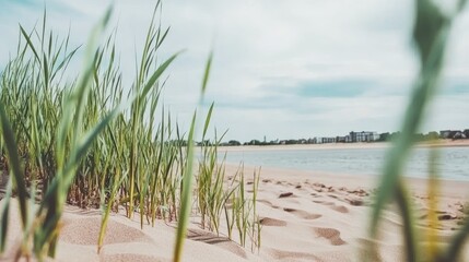 Scenic Beach View with Grass and Footsteps in Sand