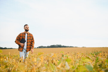 Farmer, agronomist in the soybean field. Controlling the growth of agricultural crops