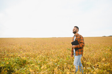 A farmer agronomist inspects soybeans growing in a field. Agriculture