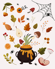 Set of autumn leaves. Halloween poster. Ingredients for the witches poison brew. Vector illustration