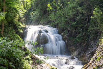 Fototapeta premium waterfall in the forest