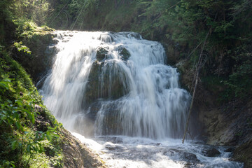waterfall in the forest