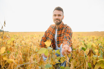 Farmer, agronomist in the soybean field. Controlling the growth of agricultural crops