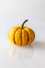 Yellow decorative small pumpkin on a white background
