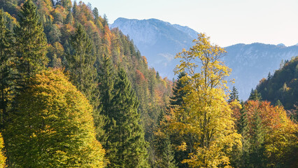 Wanderung zur Gießenbachklamm in Oberbayern