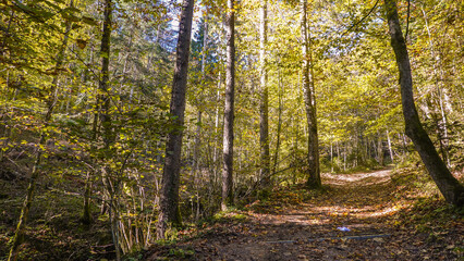 Wanderung zur Gießenbachklamm in Oberbayern