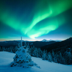 Fairy winter mountains with snowy fir-trees and incredible Northern lights in starry sky. Christmas...