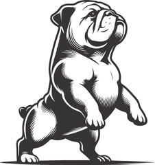 Standing on hind legs bulldog silhouette vector design.