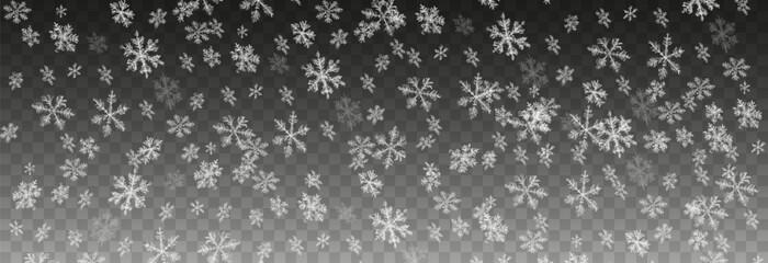 Fototapeta premium Vector snow png. Falling snowflakes on isolated transparent background. Snow storm, snowflakes, winter, snowfall png.