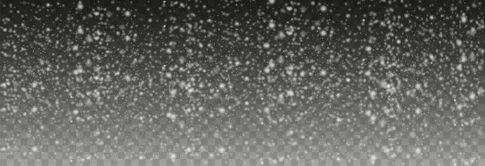 Obraz premium Vector snow png. Falling snowflakes on isolated transparent background. Snow storm, snowflakes, winter, snowfall png.