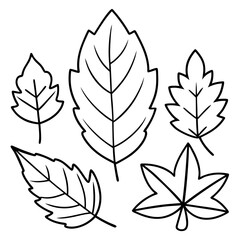 Fototapeta premium set of silhouettes