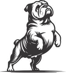Standing on hind legs bulldog silhouette vector design.