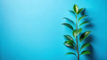 Fototapeta premium Minimalist green plant with leaves on blue background