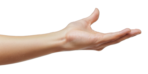 Open human hand extended forward isolated on white background. Gesture of offering, receiving, or presenting.