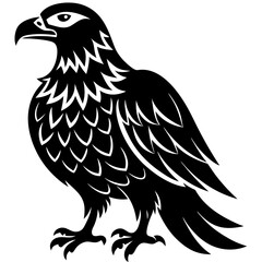 eagle vector illustration
