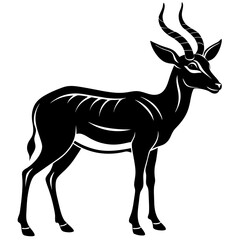 silhouette of a deer