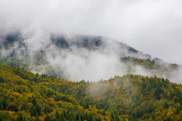 Steam over the yellowed forest. Clouds above a mountain with autumn forest
