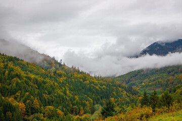 Landscape with steam over autumn woods. Clouds descending on the top of the hill, beautiful autumn...