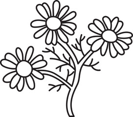 chamomine herb spice ingradient food clipart