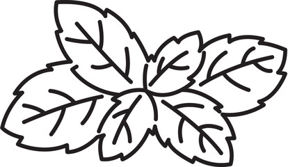 basil herb spice ingradient food clipart