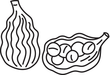 cardamon herb spice ingradient food clipart