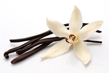 Dried Vanilla pod flower orchid petal.
