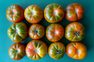 tomatoes on a green background