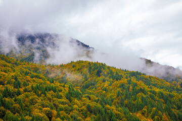 Landscape with steam over autumn woods. Clouds descending on the top of the hill, beautiful autumn...