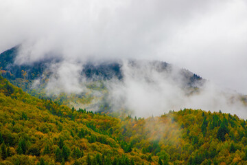 Steam over the yellowed forest. Clouds above a mountain with autumn forest